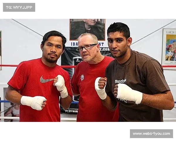 IBA构建业余奖金与职业认证混合模式，拳击生态系统面临重构